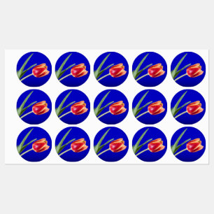 Etiquetas Tulipán sobre fondo azul