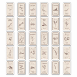 Etiquetas vintage de especias apotecarias