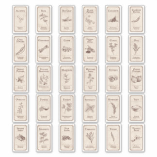 Etiquetas vintage de especias apotecarias