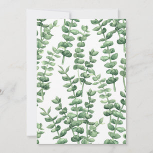 Eucalypto 1