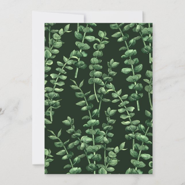 Eucalypto 2 (Anverso)