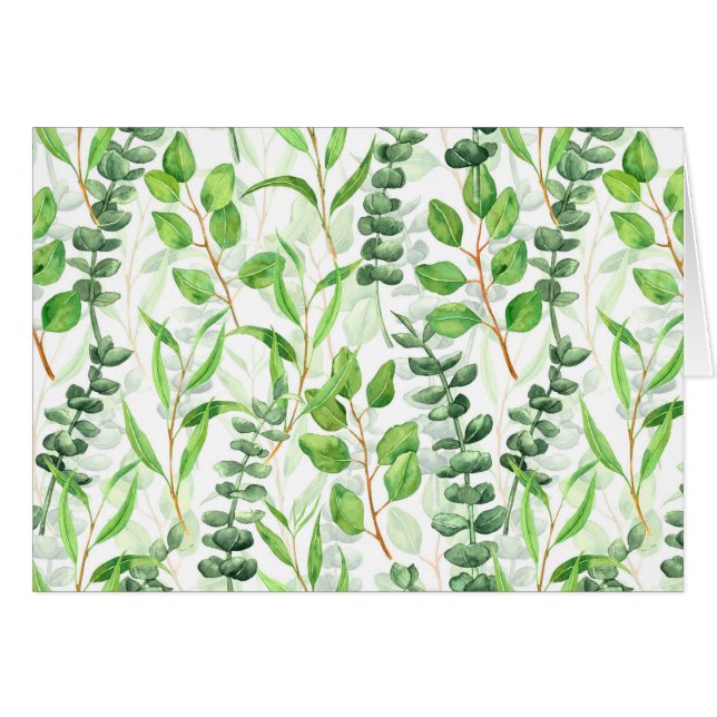 Eucalyptus (Anverso (Horizontal))