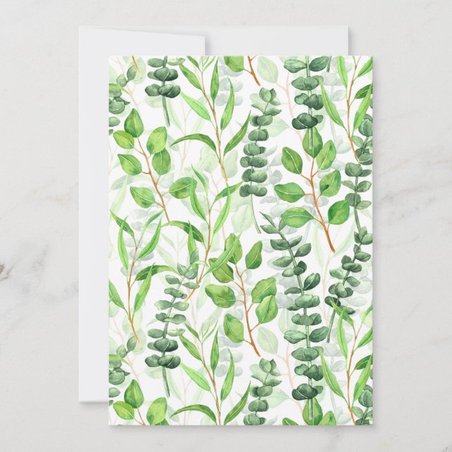 Eucalyptus (Anverso)