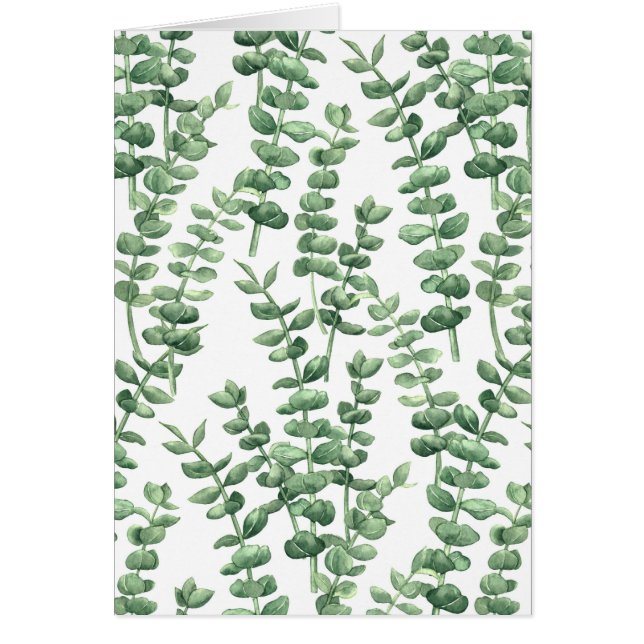 Eucalyptus 1 (Frente)