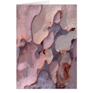Eucalyptus Bark