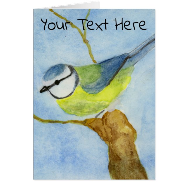 Eurasion Blue Tit (Frente)