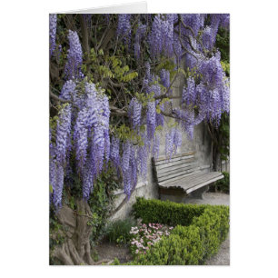 Europa, Austria, Salzburgo Stadt, Salzburgo,