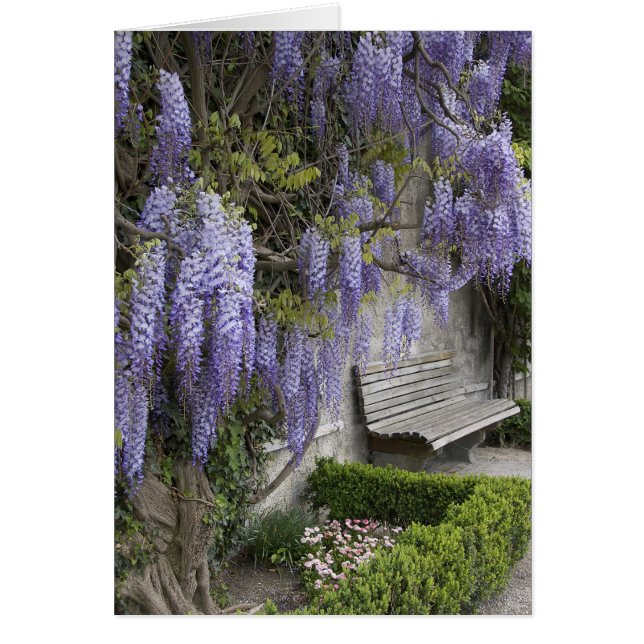 Europa, Austria, Salzburgo Stadt, Salzburgo (Frente)