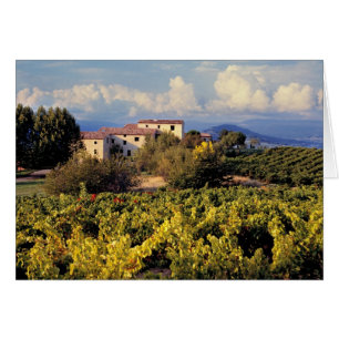 Europa, Francia, Bonnieux. Viñedos cubren el