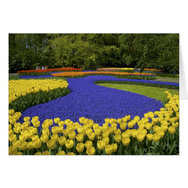 Europa, Países Bajos, Holanda, Lisse, Keukenhof (Anverso (Horizontal))