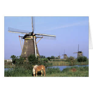 Europa, Países Bajos, Zuid Holland, Kinderdijk. 2
