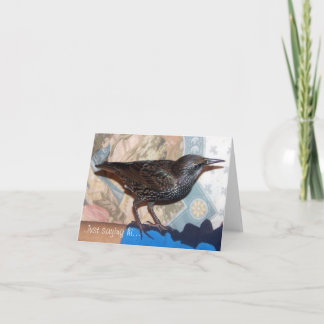 Europeo Starling, Mortimer, tarjeta de nota