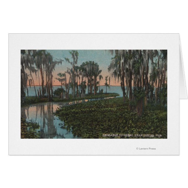 Eustis, Florida - Vista del Canal Swampy (Anverso (Horizontal))
