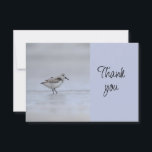 Evento de Agradecimiento a Voluntarios de Aves Cos<br><div class="desc">Lindo Pajarito Costero para el evento de limpieza y conservación del mar océano,  agradecimiento a voluntarios Espacio en blanco en la parte posterior para agregar su propio mensaje</div>