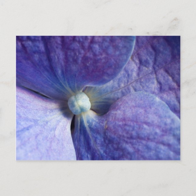 Evento de Hortensias Moradas y Anuncio de Boda (Anverso)