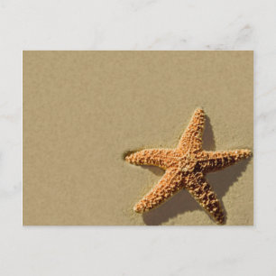 Evento tropical Starfish Invitación a bodas en la