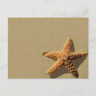 Evento tropical Starfish Invitación a bodas en la 