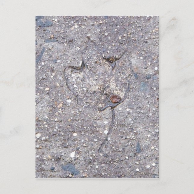 Evidencia del otoño - Tarjeta de hoja (Anverso)