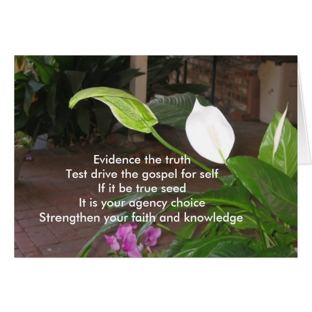 Evidencie la verdad (Anverso (Horizontal))