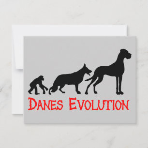 Evolución danesa