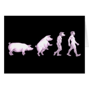 Evolución de cerdos