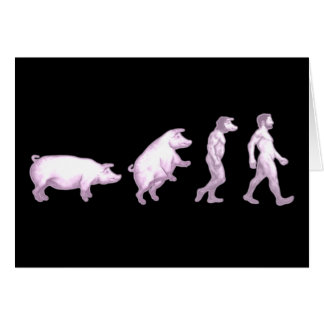 Evolución de cerdos