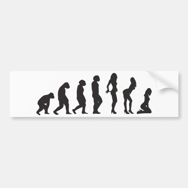 Evolución de la pegatina para el parachoques (Frente)