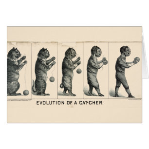 Evolución de un colector