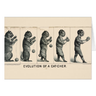 Evolución de un colector