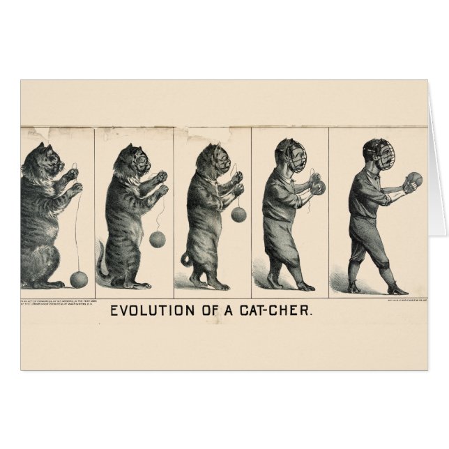 Evolución de un colector (Anverso (Horizontal))
