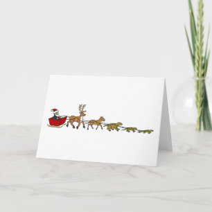 Evolución del navidad