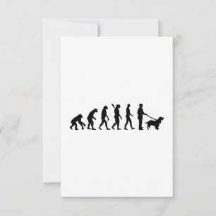 Evolution Cocker Spaniel