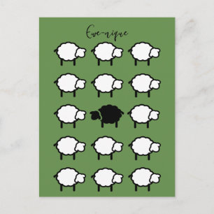 ewe-nique cita ovejas negras postal única