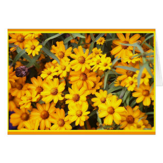 Ex exhibición floral