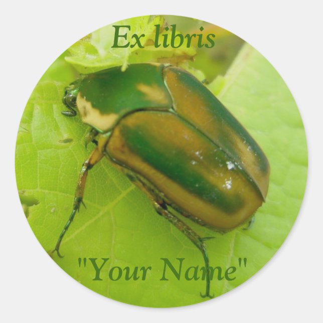 Ex libris Green June Beetle Pegatinas (Anverso)
