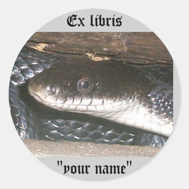 Ex Libris Pegatinas de serpientes negras a Persona (Anverso)