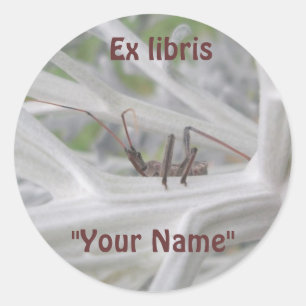 Ex libris Reduviid Peeking Pegatinas
