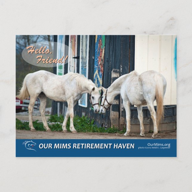 Excitante postal Starlet de Bucket & Bel (Anverso)