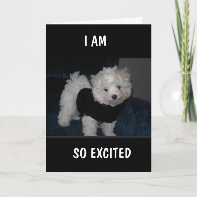 EXCITED PUP TE ENVÍA UNA TARJETA *NOVENA DE CUMPLE (Anverso)