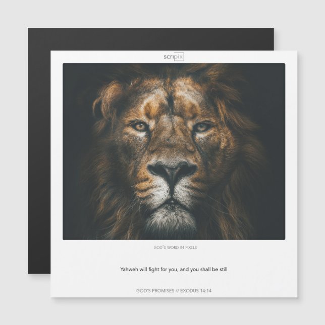 Exodo 14:14 DIOS PROMETE tarjeta magnética SCRIPIX (Anverso/Reverso)