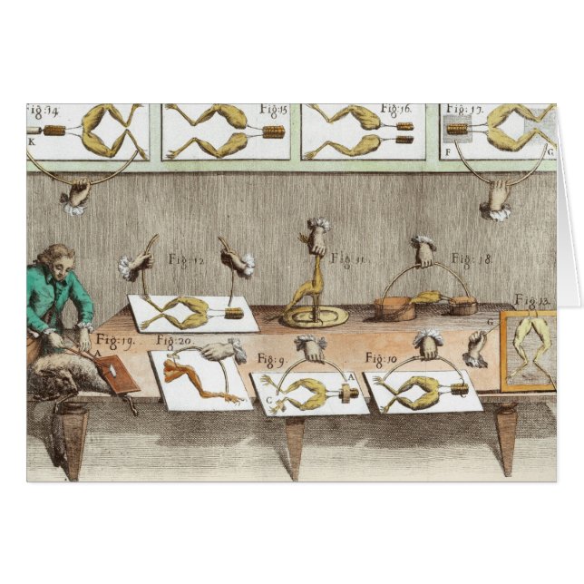 Experimento en ranas (Anverso (Horizontal))