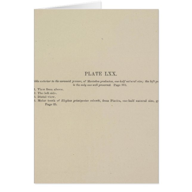 Explicación de LXX (Frente)