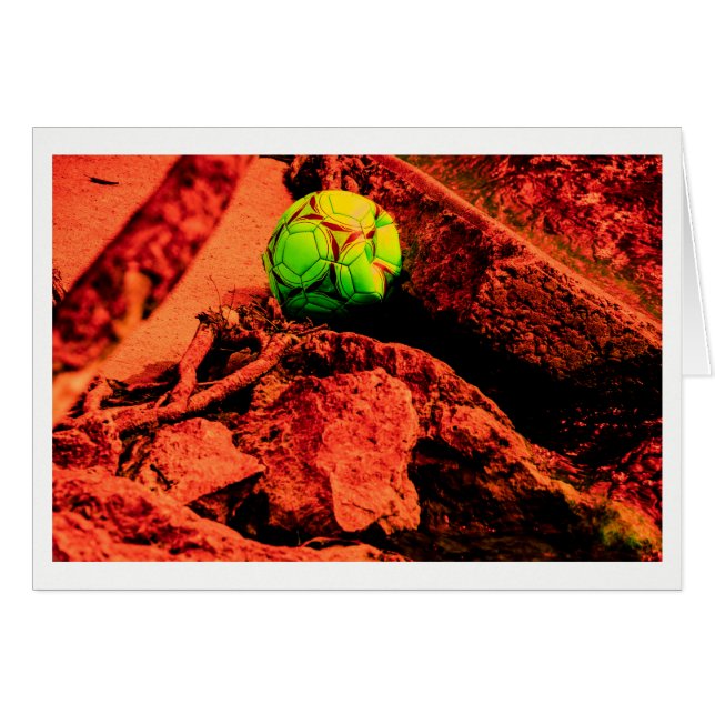 explorador de mosquitos (Anverso (Horizontal))