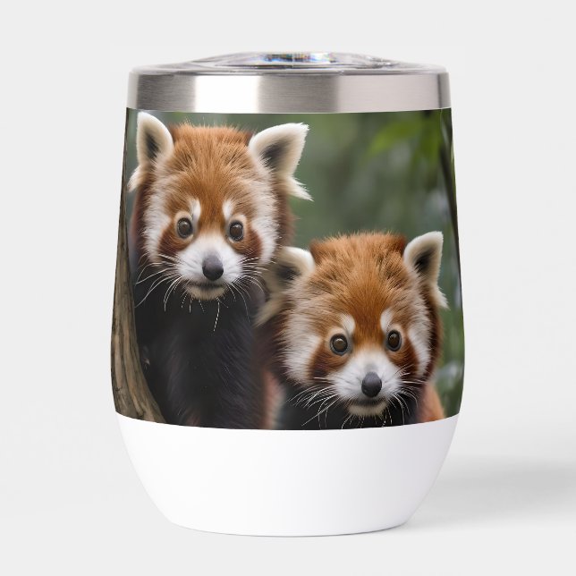 "Exploradores de la cubierta del árbol: Pandas roj (Frente)