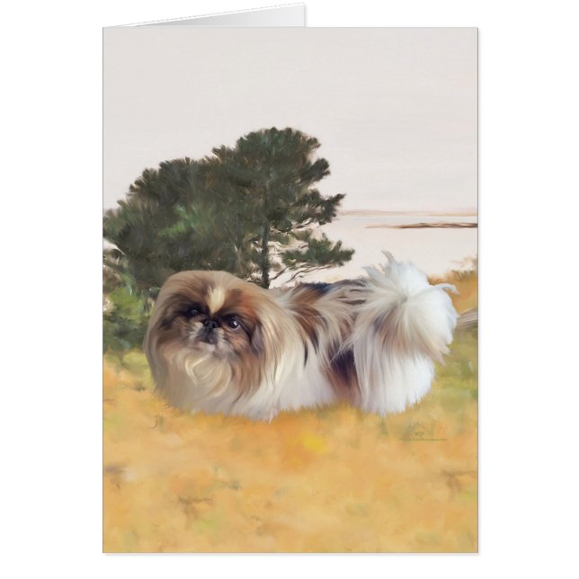 Explorar la costa (Frente)