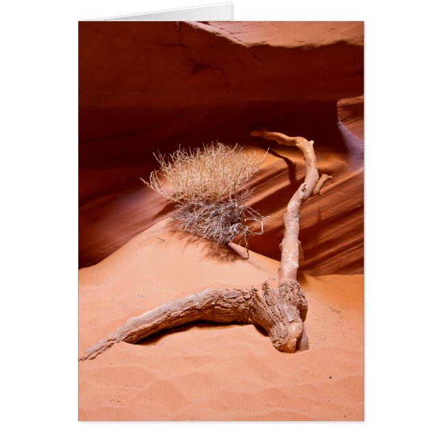 Explore Arizona (Frente)