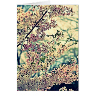 Explosión de ensueño (interior en blanco)