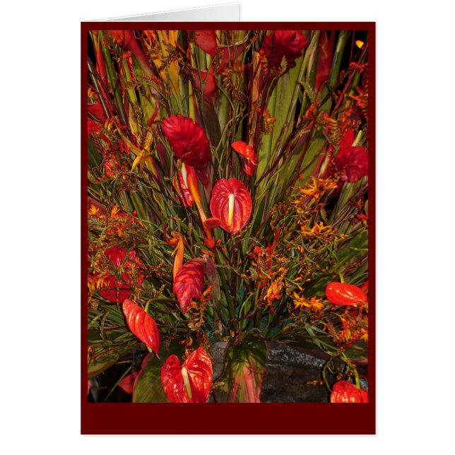 Explosión tropical (Frente)