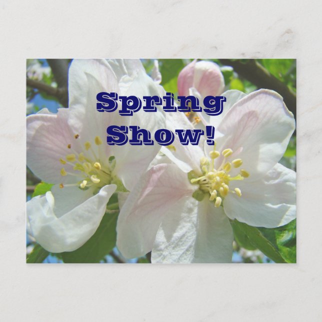 Exposición de Primavera! tarjetas postales anuncio (Anverso)