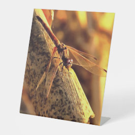 Expositor En L 534424932Elegante Red Darter Dragonfly Insect Art